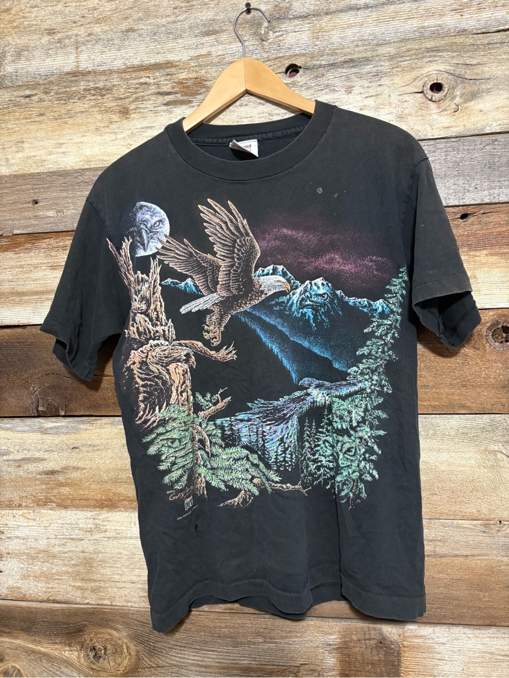 Vintage-Inspired Black Eagle Mountain Graphic Tee single stitch